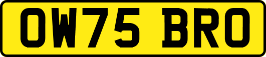 OW75BRO