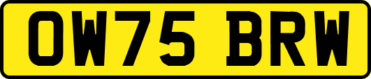 OW75BRW