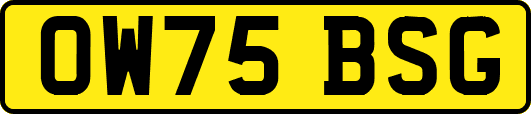 OW75BSG