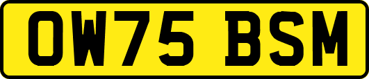 OW75BSM
