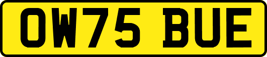 OW75BUE