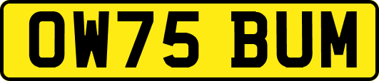 OW75BUM