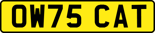 OW75CAT