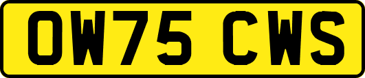 OW75CWS