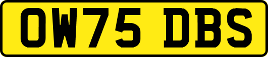OW75DBS
