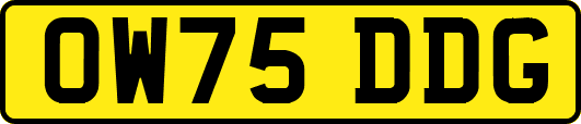 OW75DDG