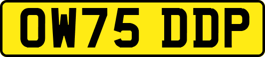OW75DDP