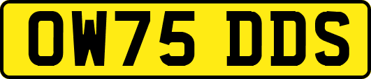 OW75DDS
