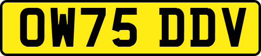OW75DDV