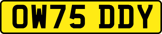 OW75DDY