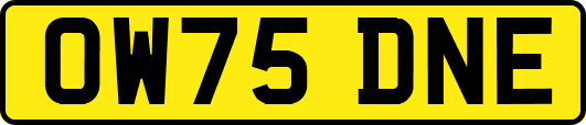 OW75DNE