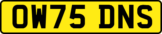OW75DNS