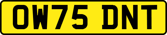 OW75DNT