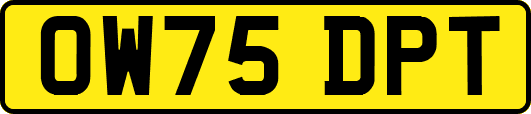 OW75DPT