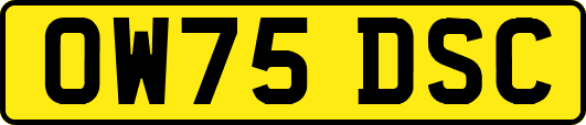 OW75DSC