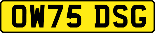 OW75DSG