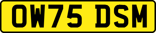 OW75DSM