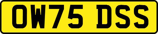 OW75DSS