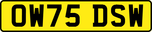 OW75DSW