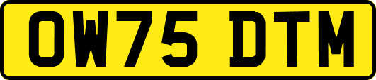 OW75DTM