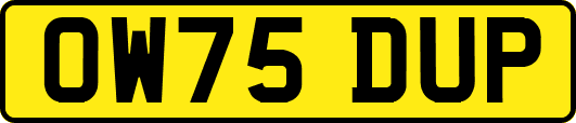 OW75DUP