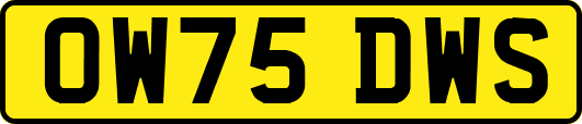 OW75DWS