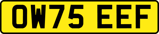 OW75EEF