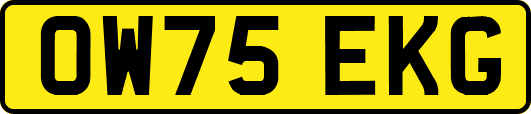 OW75EKG