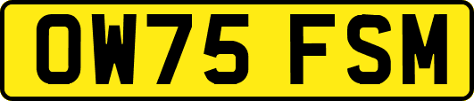 OW75FSM