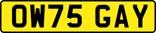 OW75GAY