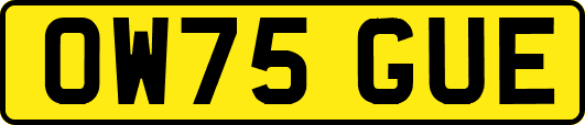 OW75GUE