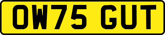 OW75GUT