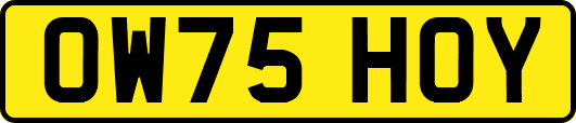 OW75HOY