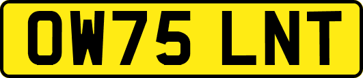 OW75LNT
