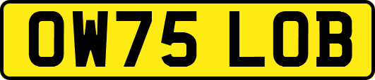 OW75LOB