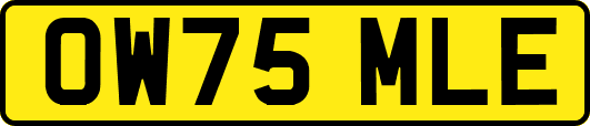 OW75MLE