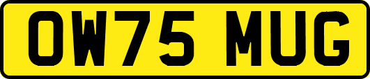 OW75MUG