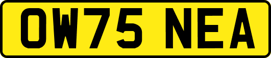 OW75NEA
