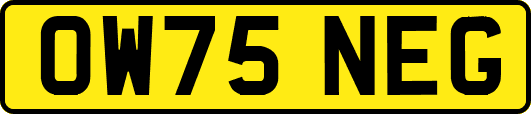 OW75NEG