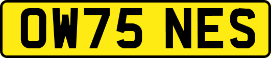 OW75NES