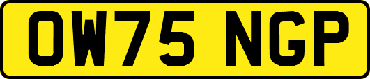 OW75NGP