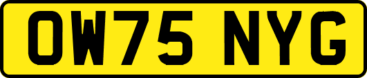 OW75NYG