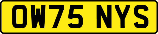 OW75NYS
