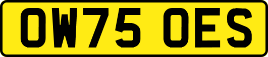 OW75OES