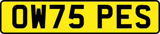 OW75PES