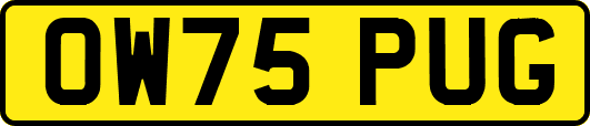 OW75PUG