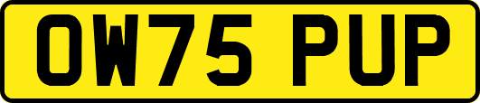 OW75PUP