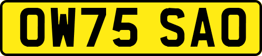 OW75SAO