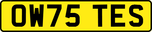 OW75TES