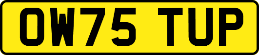 OW75TUP